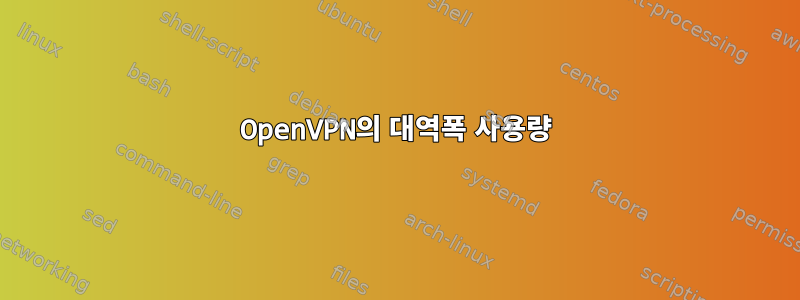 OpenVPN의 대역폭 사용량