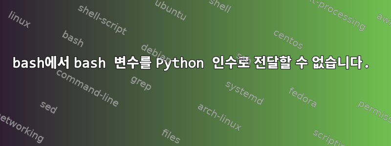 bash에서 bash 변수를 Python 인수로 전달할 수 없습니다.