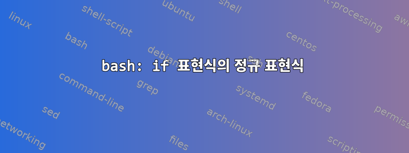 bash: if 표현식의 정규 표현식