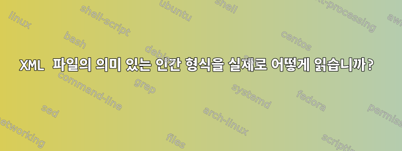 XML 파일의 의미 있는 인간 형식을 실제로 어떻게 읽습니까?