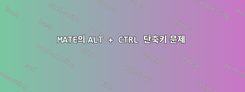 MATE의 ALT + CTRL 단축키 문제