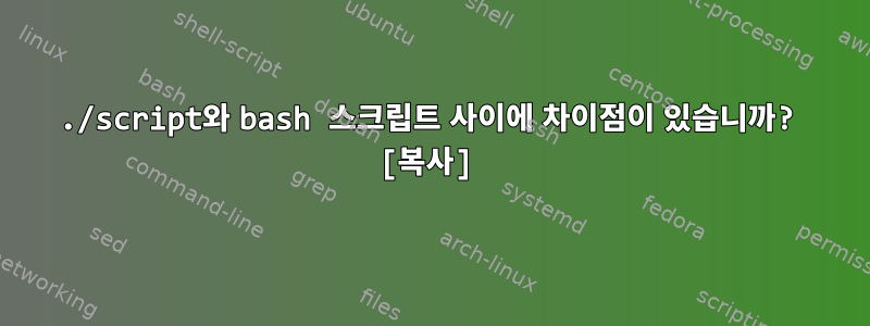 ./script와 bash 스크립트 사이에 차이점이 있습니까? [복사]