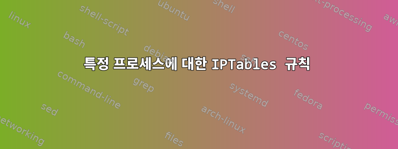 특정 프로세스에 대한 IPTables 규칙