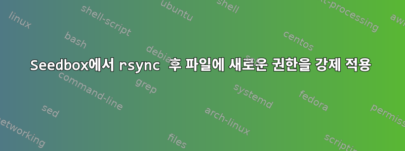 Seedbox에서 rsync 후 파일에 새로운 권한을 강제 적용