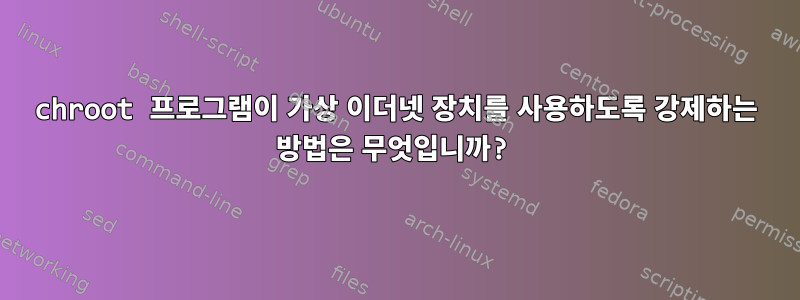 chroot 프로그램이 가상 이더넷 장치를 사용하도록 강제하는 방법은 무엇입니까?