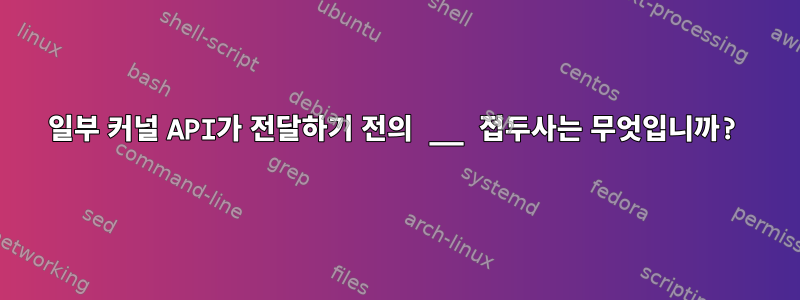 일부 커널 API가 전달하기 전의 __ 접두사는 무엇입니까?