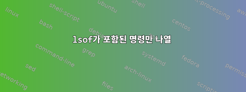 lsof가 포함된 명령만 나열