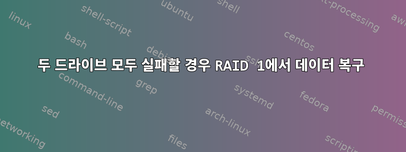 두 드라이브 모두 실패할 경우 RAID 1에서 데이터 복구