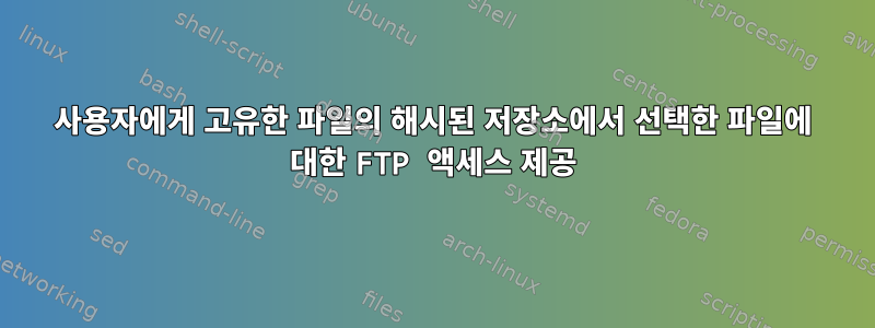 사용자에게 고유한 파일의 해시된 저장소에서 선택한 파일에 대한 FTP 액세스 제공