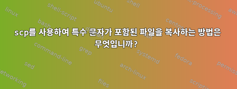 scp를 사용하여 특수 문자가 포함된 파일을 복사하는 방법은 무엇입니까?