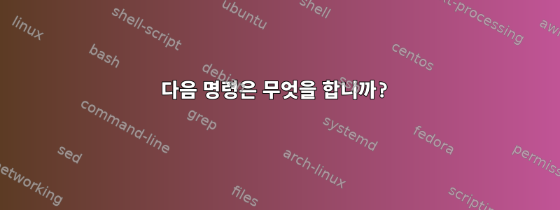 다음 명령은 무엇을 합니까?