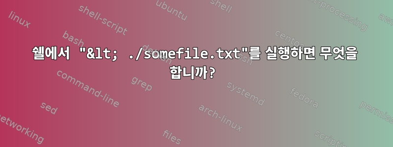 쉘에서 "&lt; ./somefile.txt"를 실행하면 무엇을 합니까?