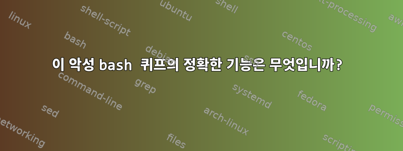 이 악성 bash 퀴프의 정확한 기능은 무엇입니까?