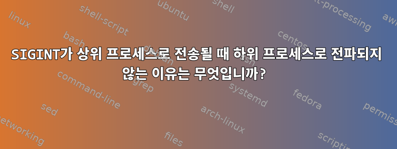 SIGINT가 상위 프로세스로 전송될 때 하위 프로세스로 전파되지 않는 이유는 무엇입니까?