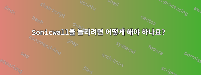 Sonicwall을 놀리려면 어떻게 해야 하나요?