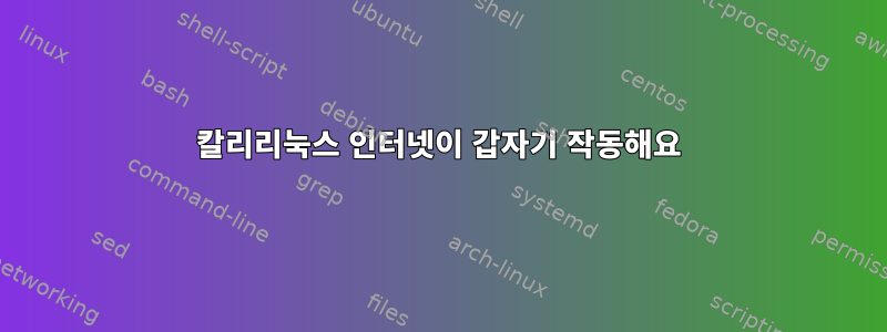 칼리리눅스 인터넷이 갑자기 작동해요