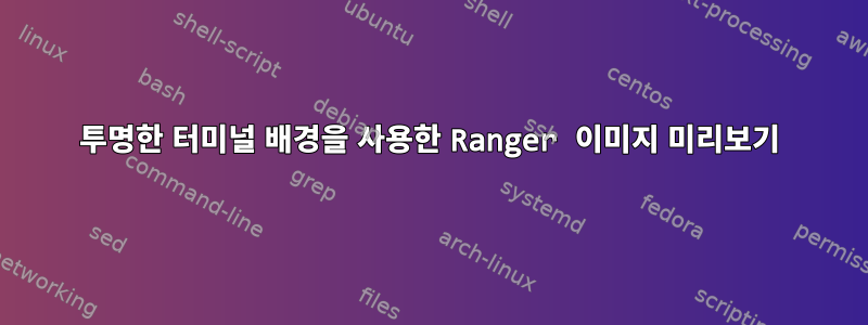 투명한 터미널 배경을 사용한 Ranger 이미지 미리보기