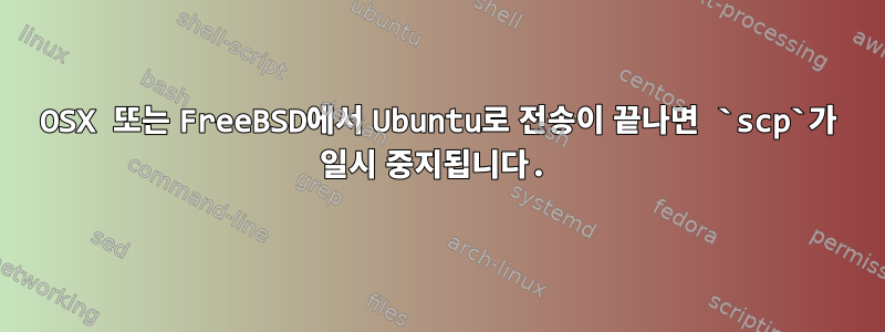 OSX 또는 FreeBSD에서 Ubuntu로 전송이 끝나면 `scp`가 일시 중지됩니다.