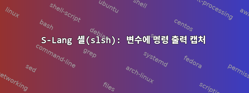 S-Lang 셸(slsh): 변수에 명령 출력 캡처