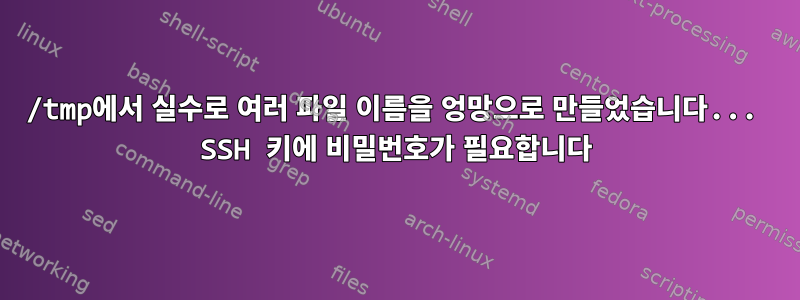 /tmp에서 실수로 여러 파일 이름을 엉망으로 만들었습니다... SSH 키에 비밀번호가 필요합니다