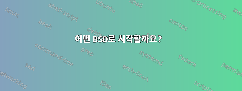 어떤 BSD로 시작할까요?