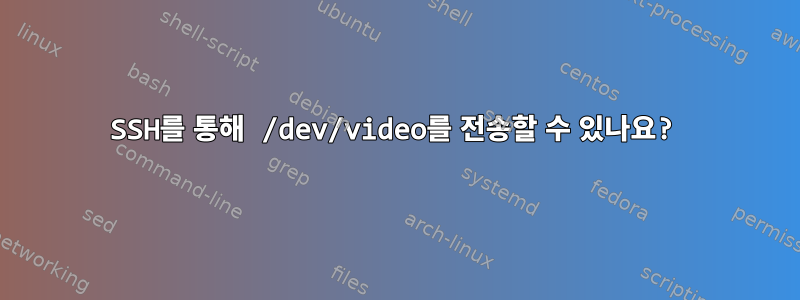 SSH를 통해 /dev/video를 전송할 수 있나요?