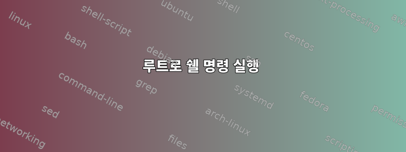 루트로 쉘 명령 실행