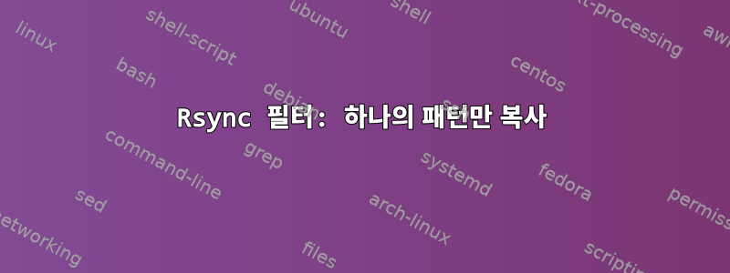 Rsync 필터: 하나의 패턴만 복사