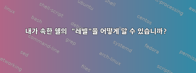 내가 속한 쉘의 "레벨"을 어떻게 알 수 있습니까?