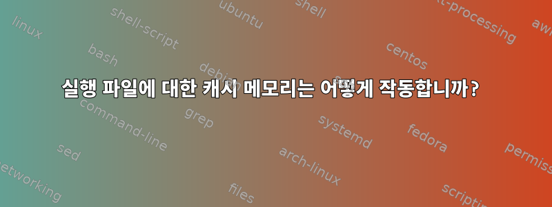 실행 파일에 대한 캐시 메모리는 어떻게 작동합니까?