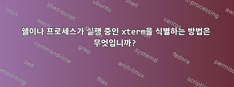 쉘이나 프로세스가 실행 중인 xterm을 식별하는 방법은 무엇입니까?