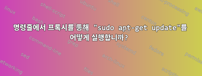 명령줄에서 프록시를 통해 "sudo apt-get update"를 어떻게 실행합니까?