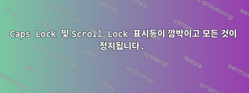 Caps Lock 및 Scroll Lock 표시등이 깜박이고 모든 것이 정지됩니다.