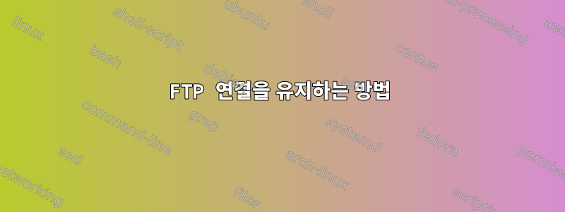 FTP 연결을 유지하는 방법