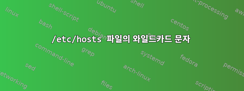 /etc/hosts 파일의 와일드카드 문자