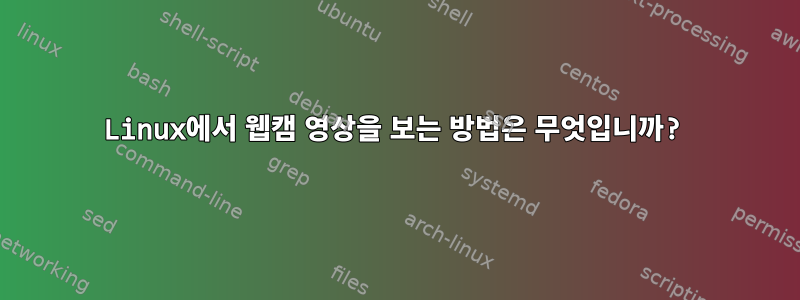 Linux에서 웹캠 영상을 보는 방법은 무엇입니까?