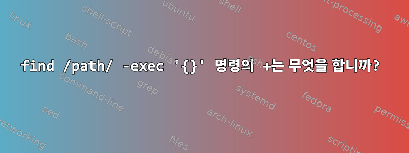 find /path/ -exec '{}' 명령의 +는 무엇을 합니까?