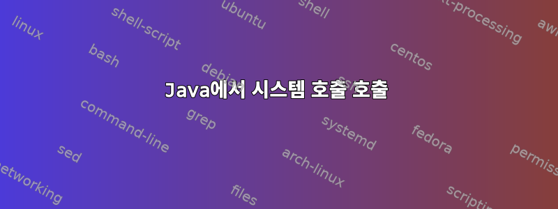 Java에서 시스템 호출 호출