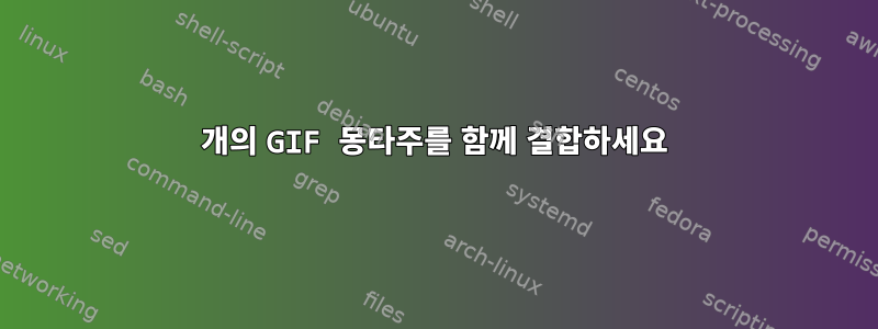 5개의 GIF 몽타주를 함께 결합하세요