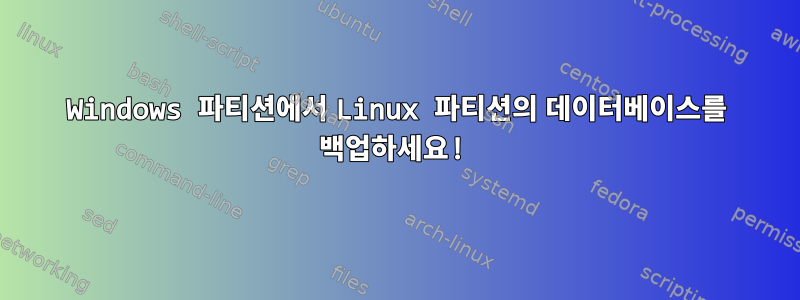 Windows 파티션에서 Linux 파티션의 데이터베이스를 백업하세요!