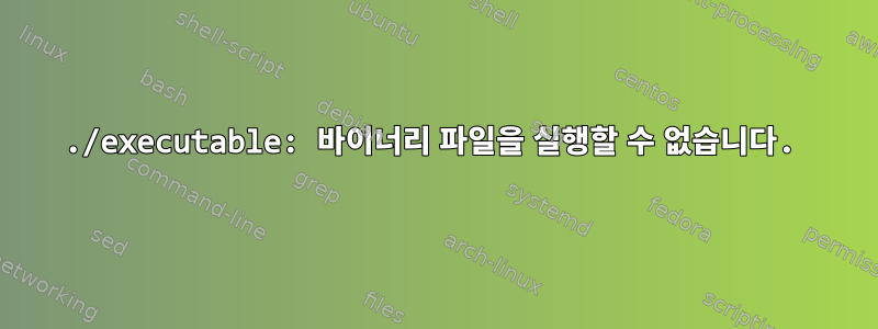 ./executable: 바이너리 파일을 실행할 수 없습니다.