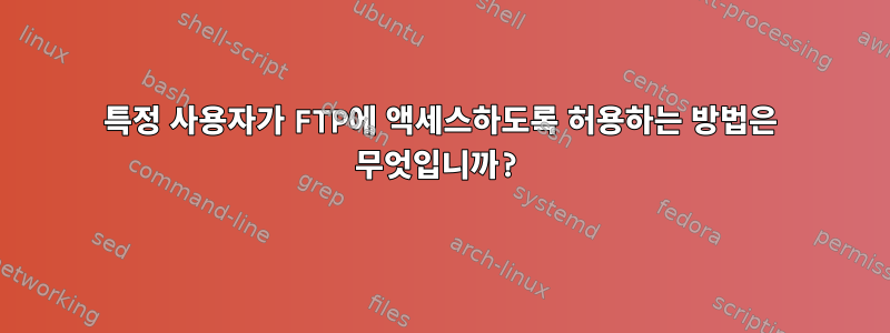 특정 사용자가 FTP에 액세스하도록 허용하는 방법은 무엇입니까?