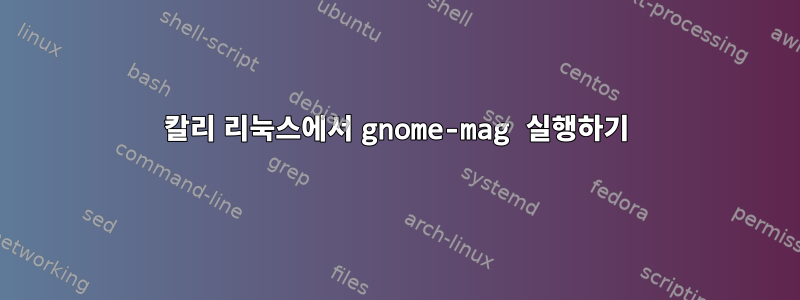 칼리 리눅스에서 gnome-mag 실행하기