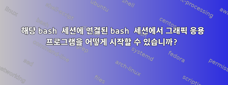 해당 bash 세션에 연결된 bash 세션에서 그래픽 응용 프로그램을 어떻게 시작할 수 있습니까?