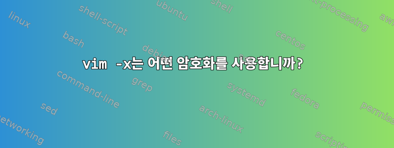 vim -x는 어떤 암호화를 사용합니까?