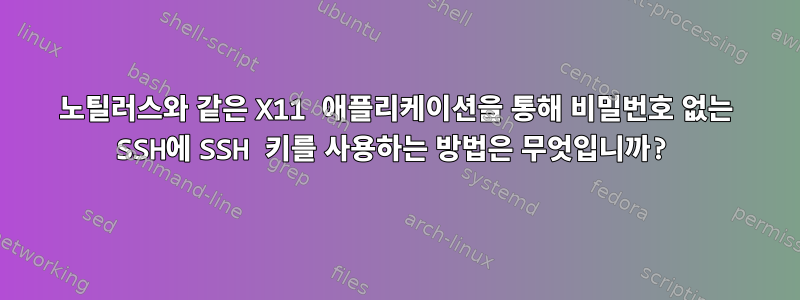 노틸러스와 같은 X11 애플리케이션을 통해 비밀번호 없는 SSH에 SSH 키를 사용하는 방법은 무엇입니까?