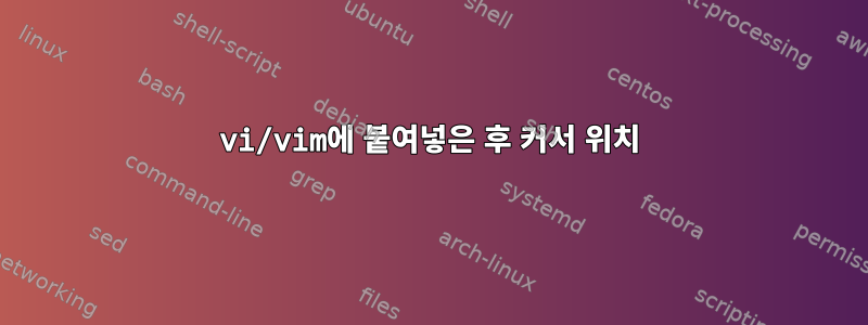 vi/vim에 붙여넣은 후 커서 위치