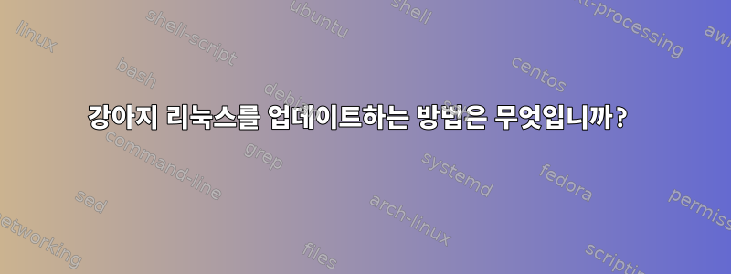 강아지 리눅스를 업데이트하는 방법은 무엇입니까?