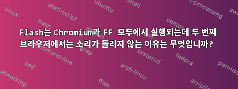 Flash는 Chromium과 FF 모두에서 실행되는데 두 번째 브라우저에서는 소리가 들리지 않는 이유는 무엇입니까?