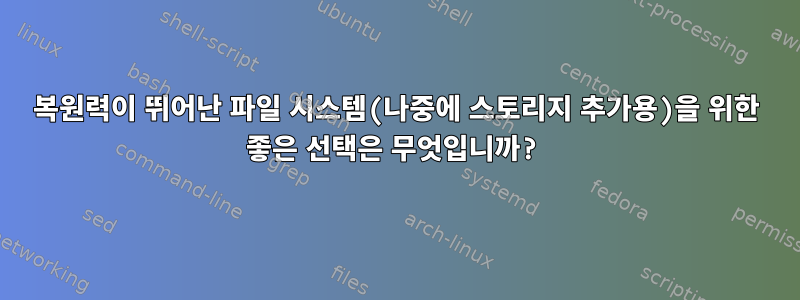 복원력이 뛰어난 파일 시스템(나중에 스토리지 추가용)을 위한 좋은 선택은 무엇입니까?